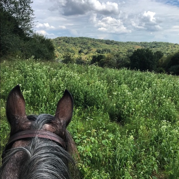 Meet your Posher, Kendra - Picture 3 of 5